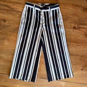 Banana Republic Striped Crop Pants 4 Petite, Navy/Light Gray, Like New